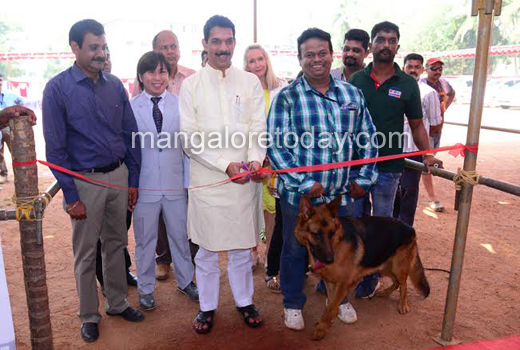 Dogs show 1